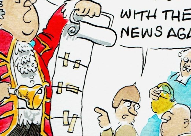 The Metro daily cartoon by Guy Venables: November 11 2025